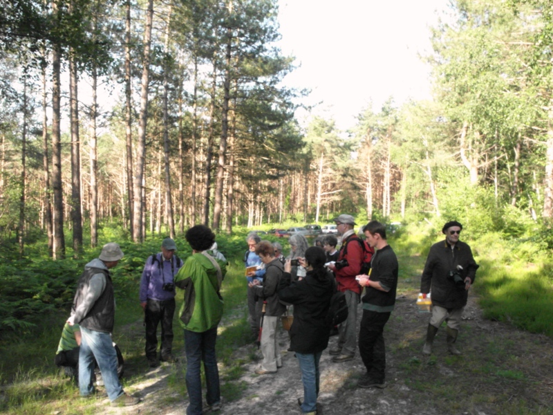 2012-06-Botanique avec l'ANY au carrefour des bourbiers